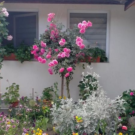 Casa Luminita Vila Ieşelniţa Exterior foto