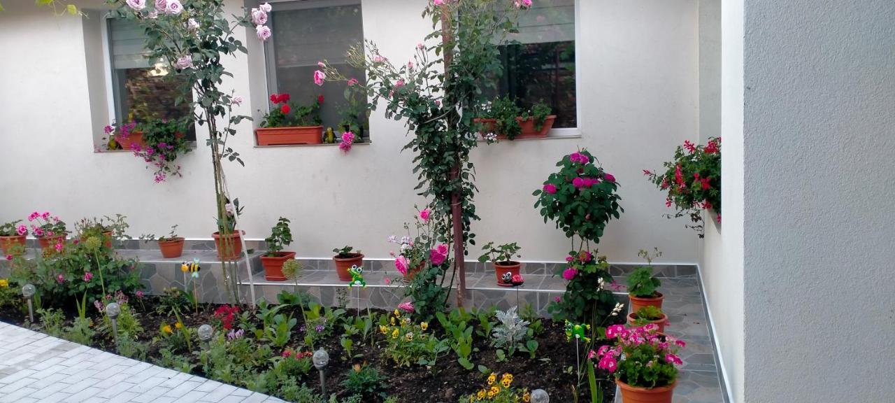 Casa Luminita Vila Ieşelniţa Exterior foto