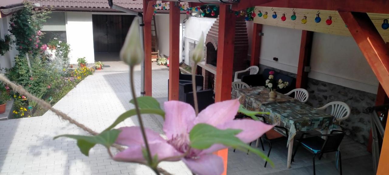 Casa Luminita Vila Ieşelniţa Exterior foto