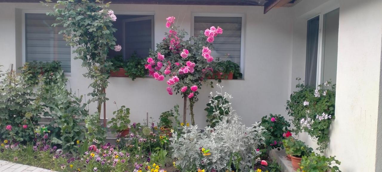Casa Luminita Vila Ieşelniţa Exterior foto
